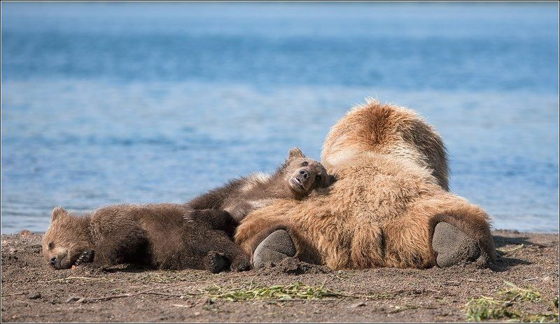 Про кайф фото превью