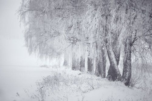 Зима под Минском