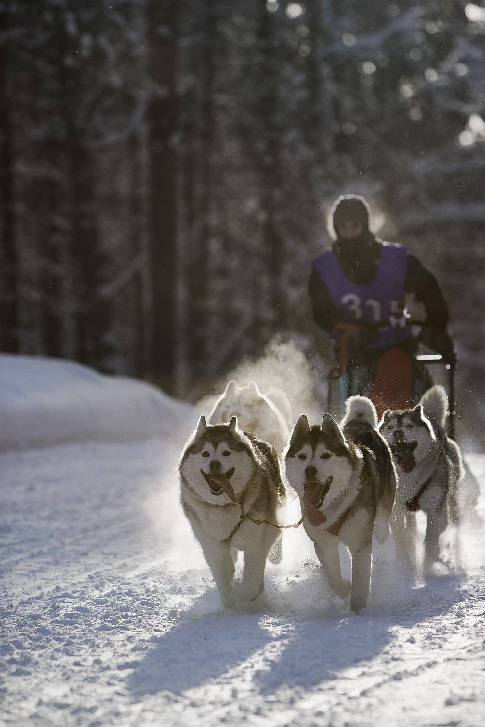 , Бамбизов Андрей