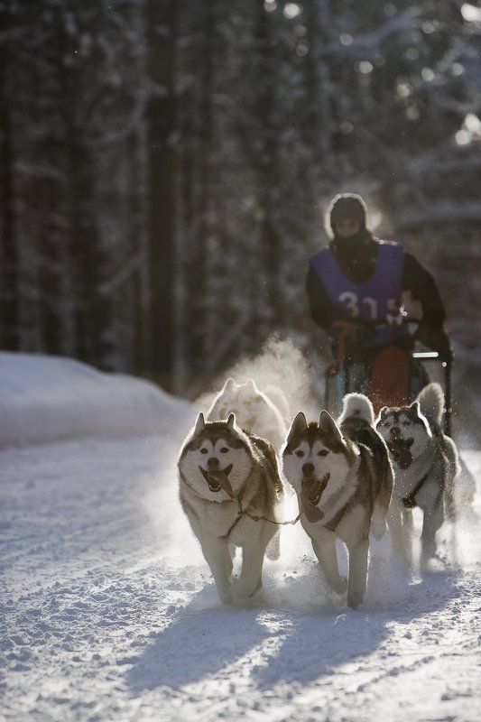 *** фото превью