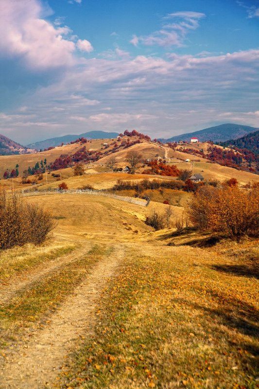 карпаты, осень, дорога ...Даль... фото превью