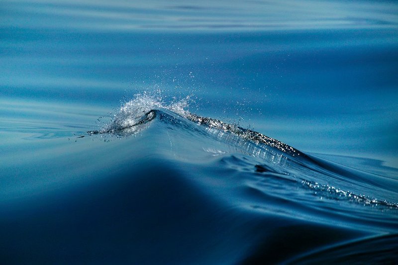 Вода фото превью