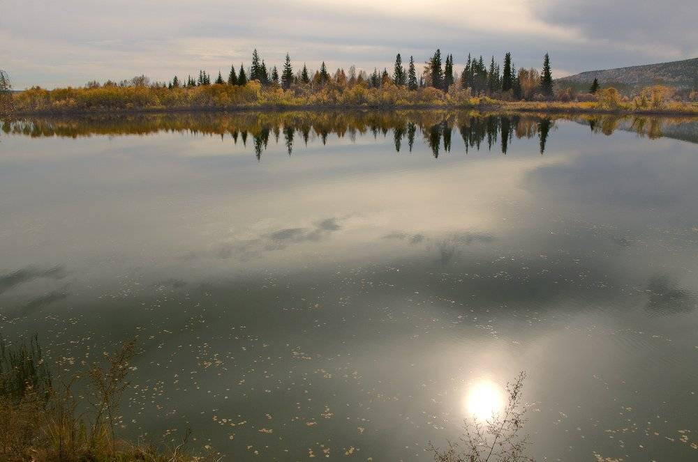 , Николай Морский