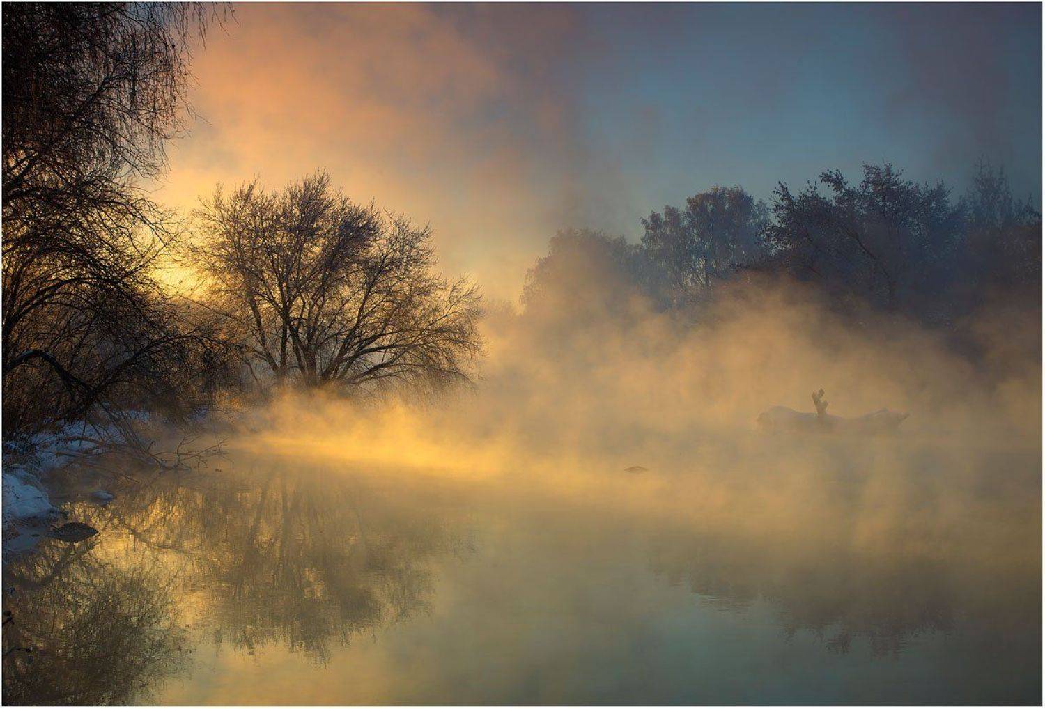 , Олег Астахов