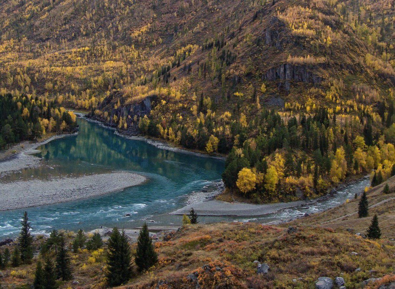 осень, река, горы, алтай, горный алтай, катунь, Галина Хвостенко