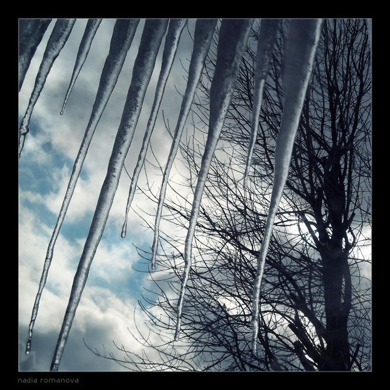 winter bites фото превью