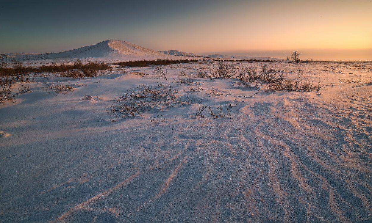 , Андрей Журавлев