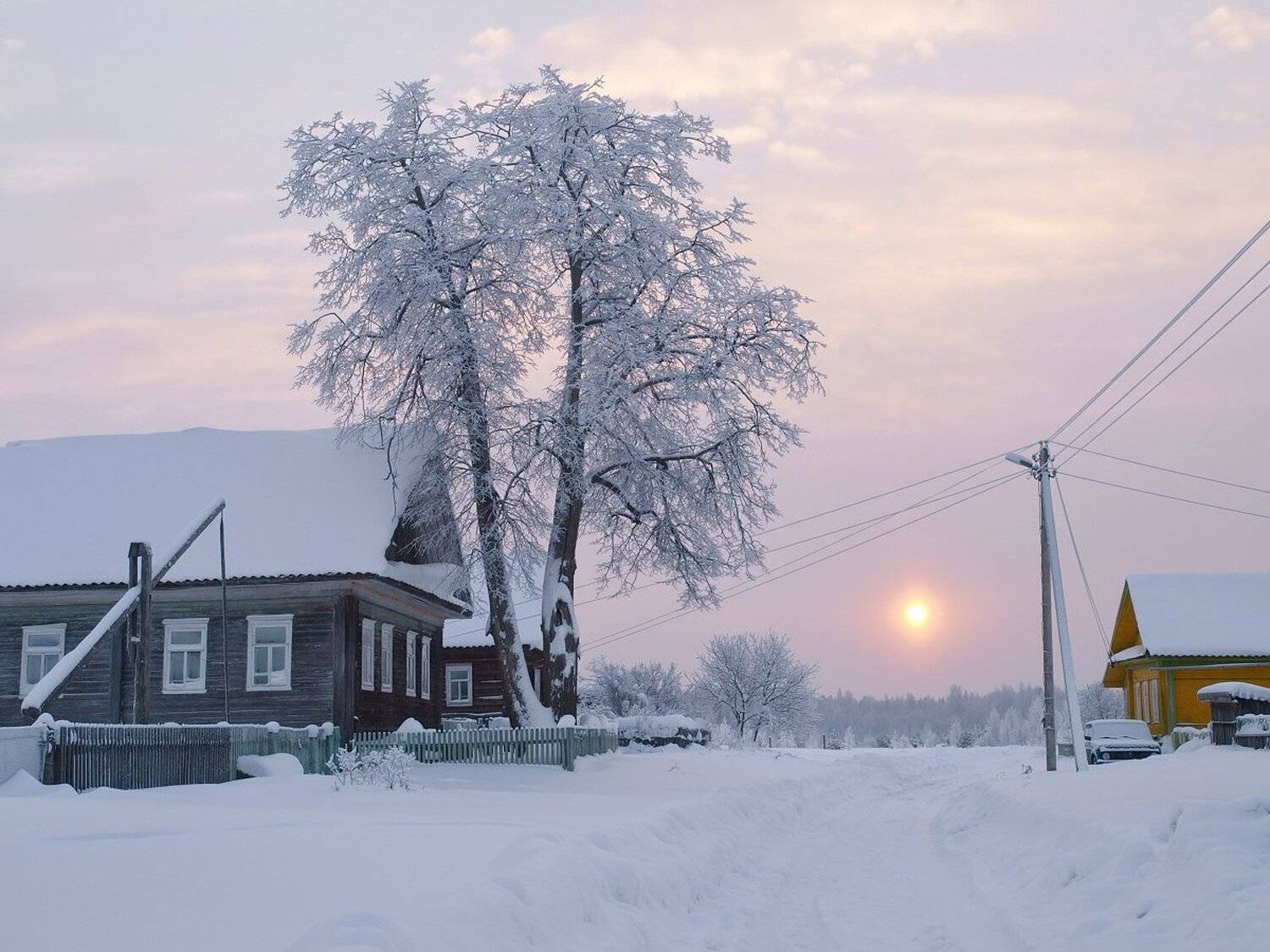 , Максим Евдокимов