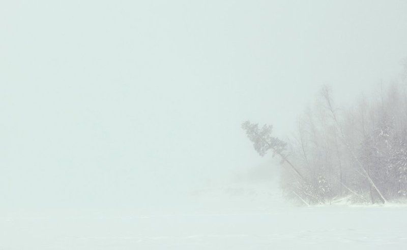 --- фото превью