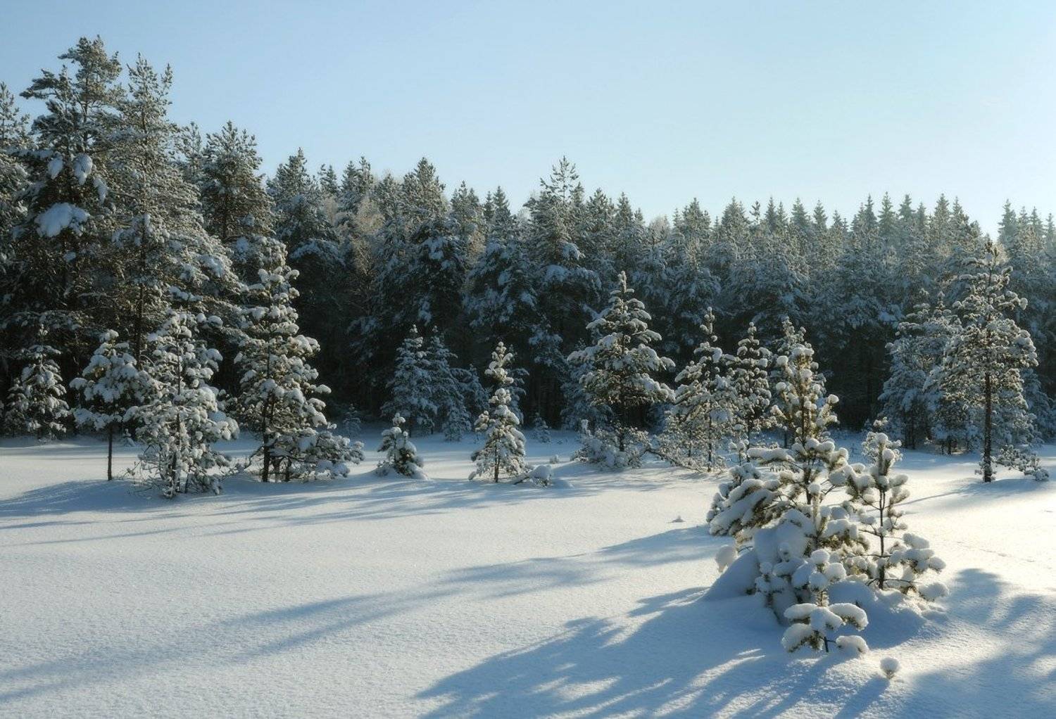 , Сергей Седов