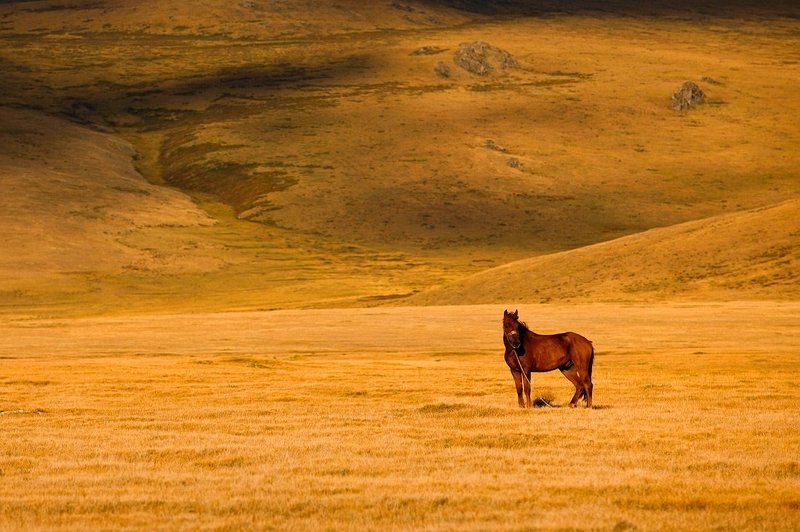 * фото превью