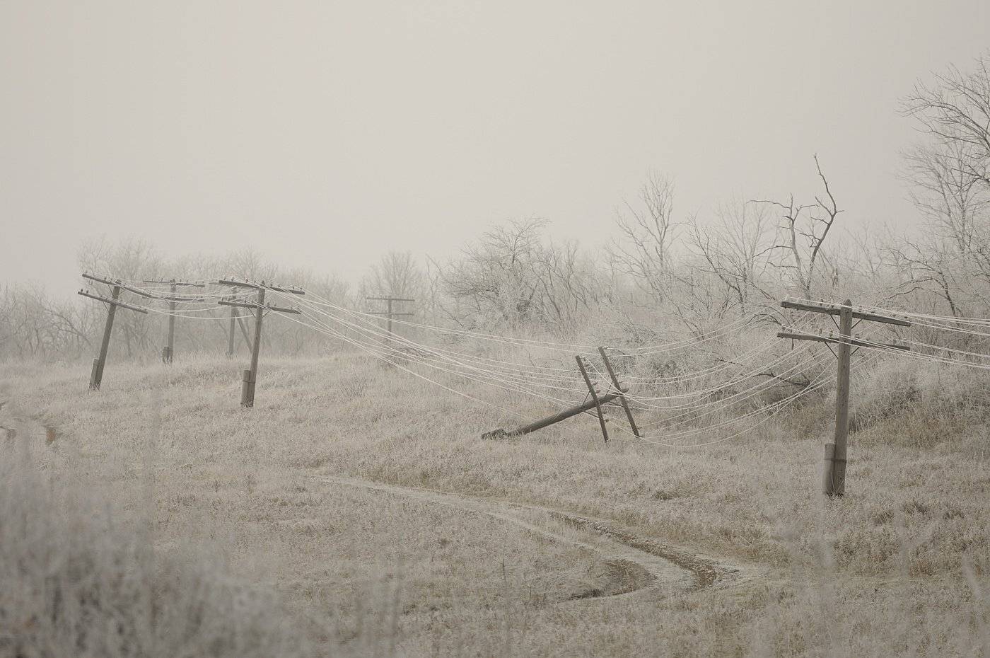 , Дeнис Бoдрoв