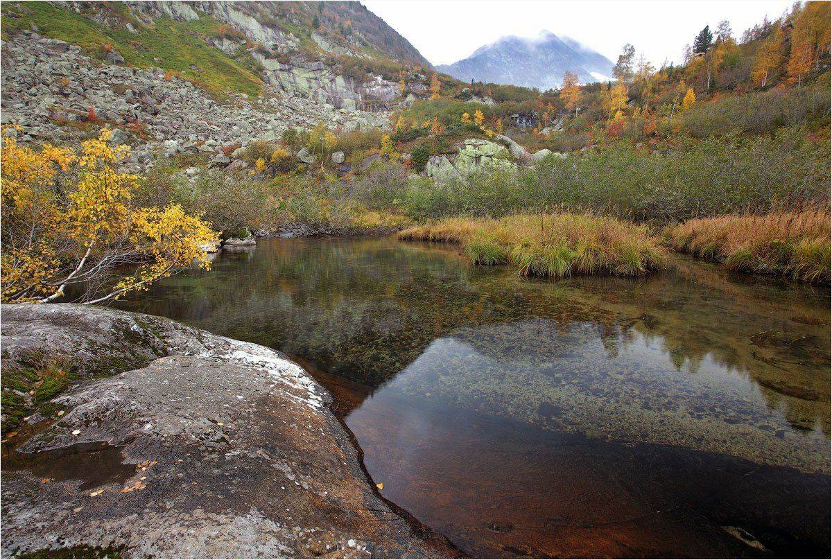 поднебесные, зубья, Александр Устинович