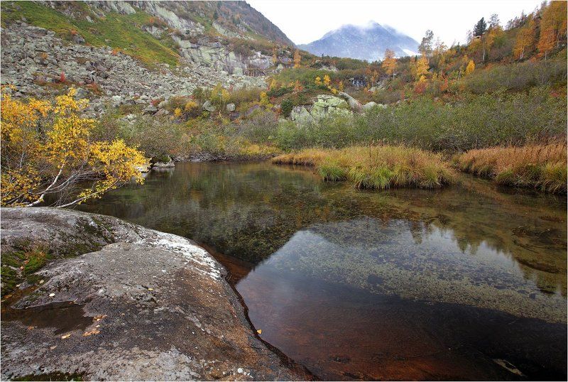 поднебесные, зубья  фото превью