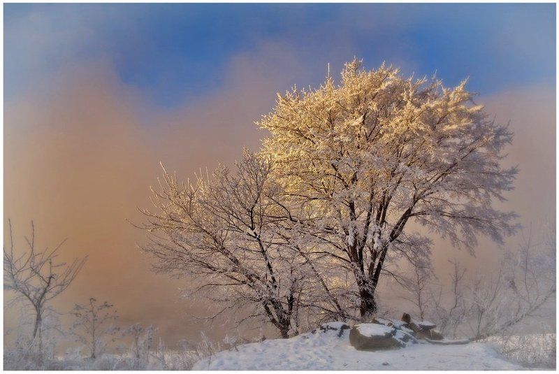 Аллегро ЗИМЫ фото превью