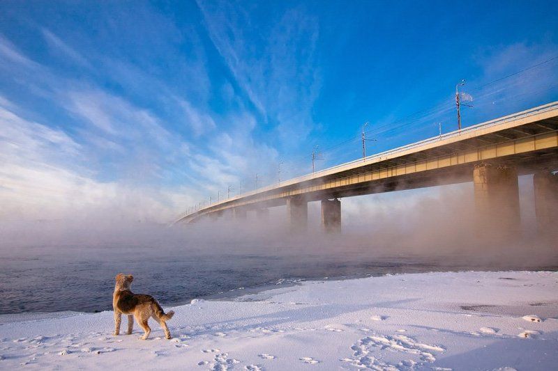 Первый раз увидел Енисей фото превью