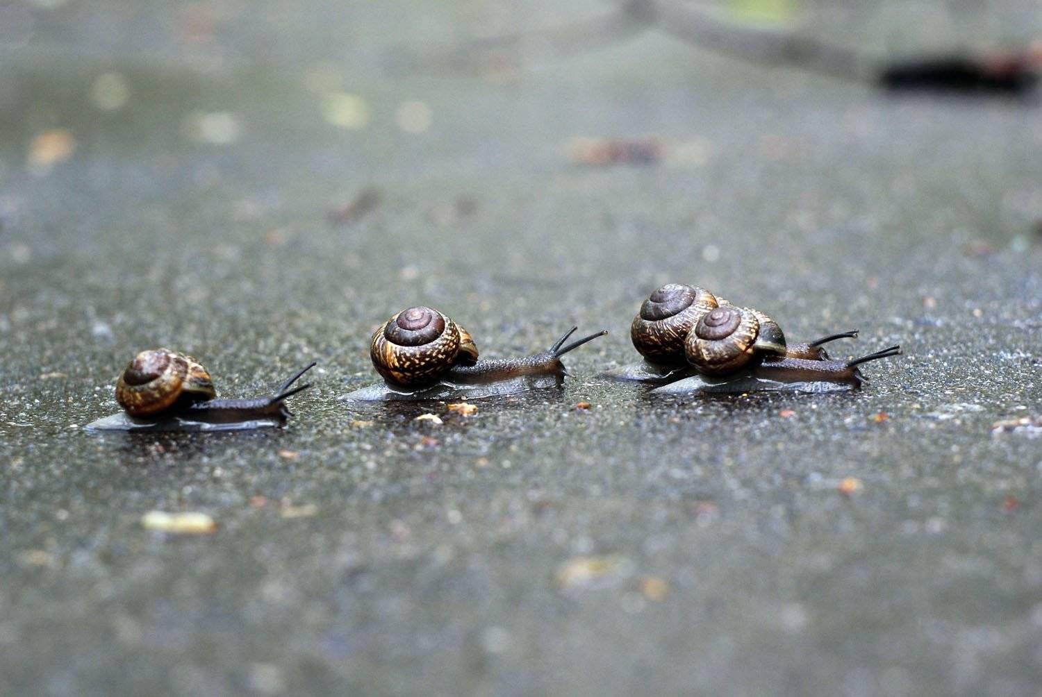 , Сергей Кичигин