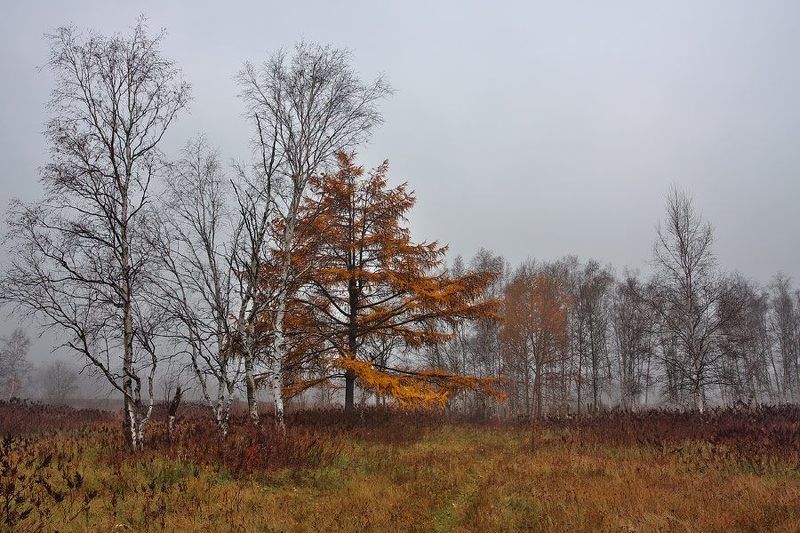 Хмурое утро фото превью