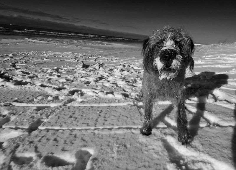 А тебе чего ? фото превью