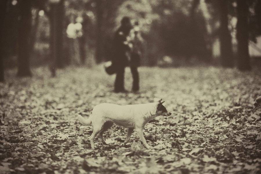 , Ятель Юрий