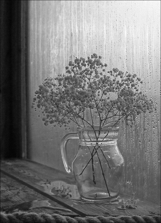 натюрморт, дождь, сухие, цветы, El. G.