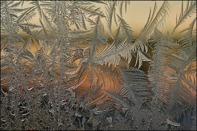 , Андрей Осокин