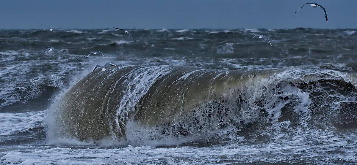 , Сергей Дымченко
