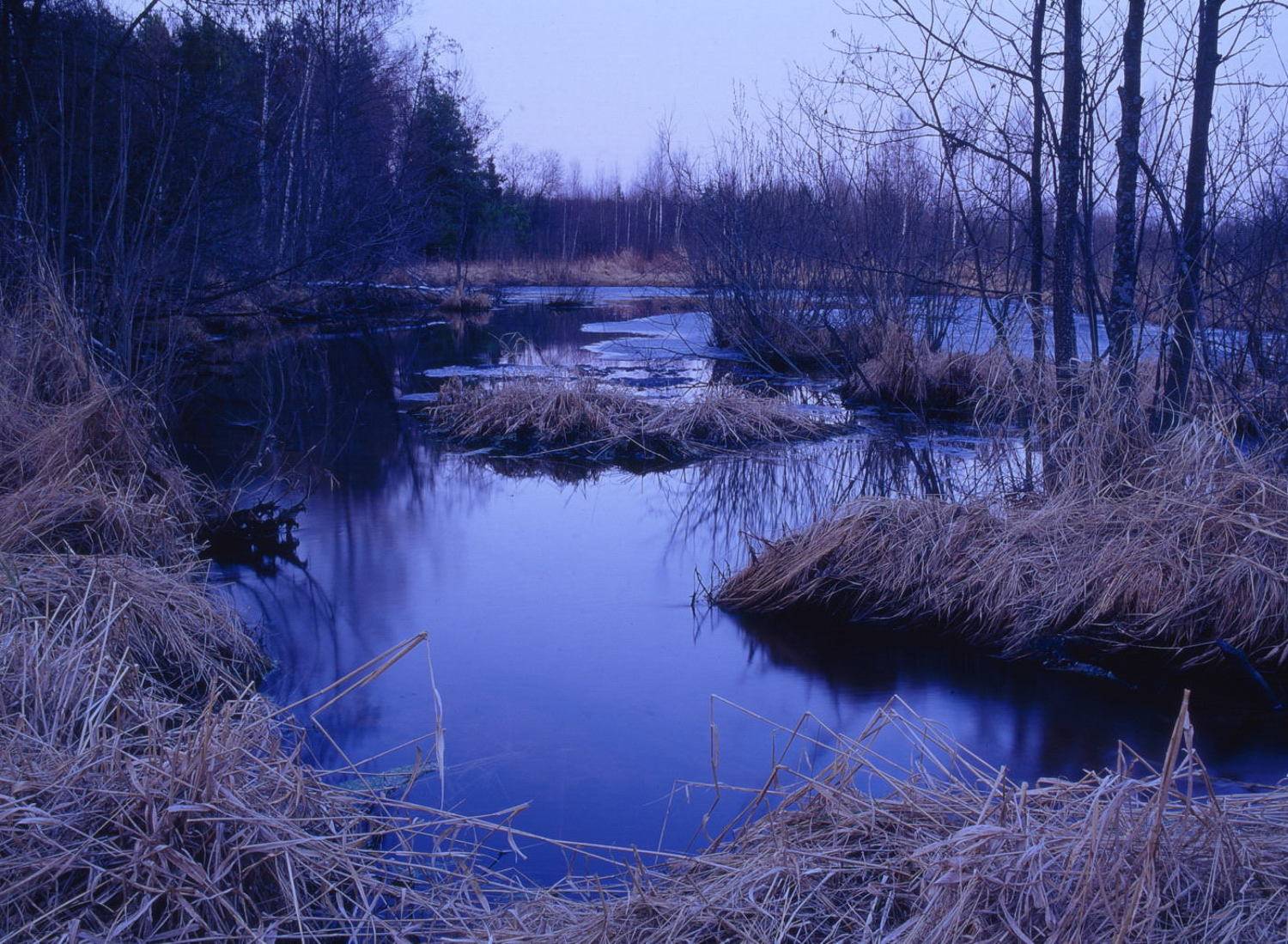 весна.вода.вечер.тростник, Вадим