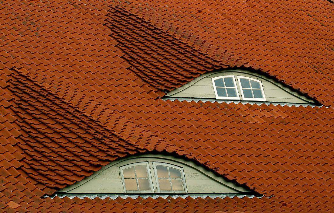 , Игорь Дубровский