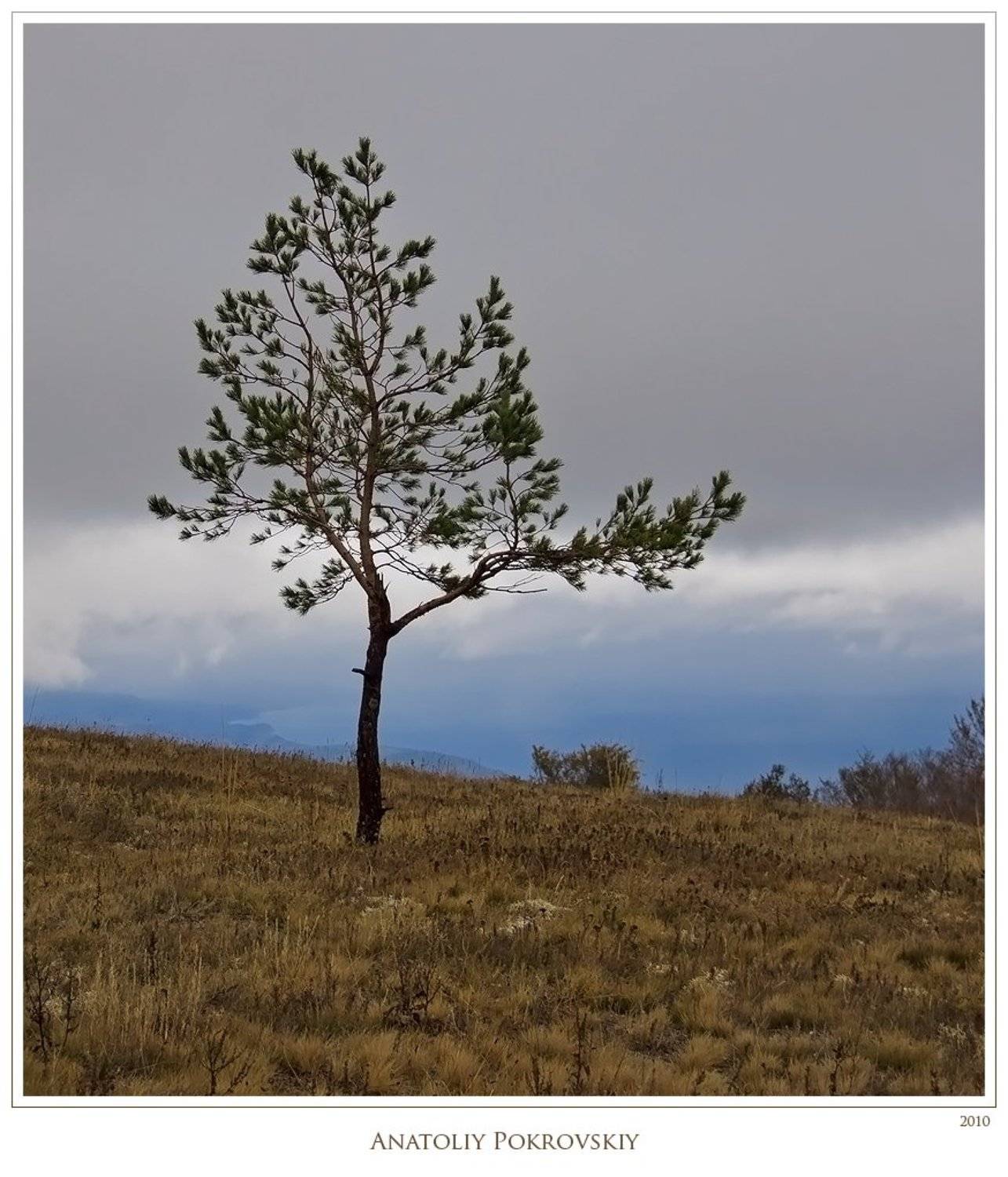 крым, демерджи, горы, осень, сосна, непогода, тучи, Анатолий Покровский