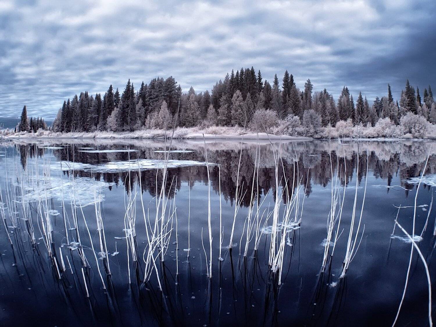 , Максим Евдокимов