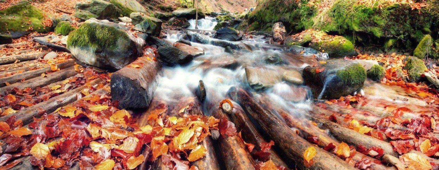 карпаты, осень, Андрей Радюк