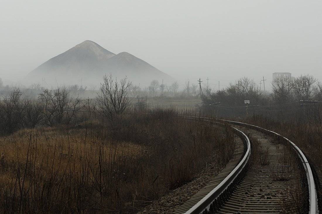 , Дeнис Бoдрoв