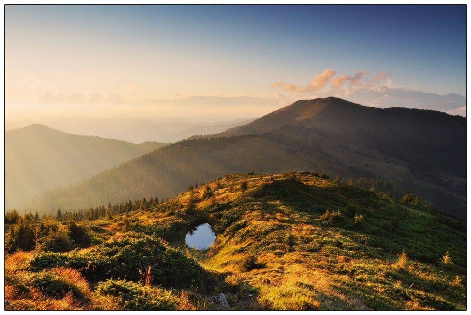 , Денис Кривой