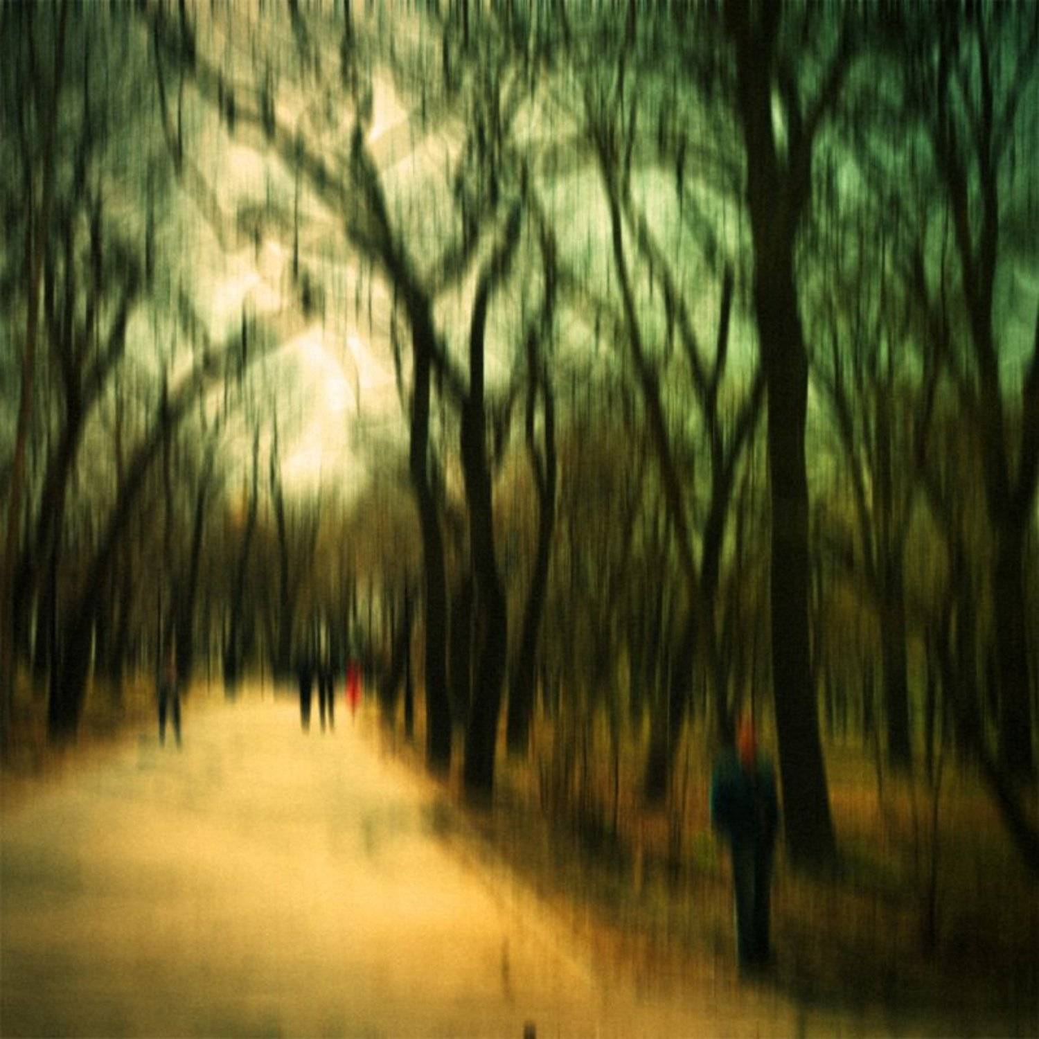 фантастический, лес, Зуева Юля