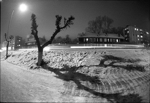 фотографии Александра Бендюкова