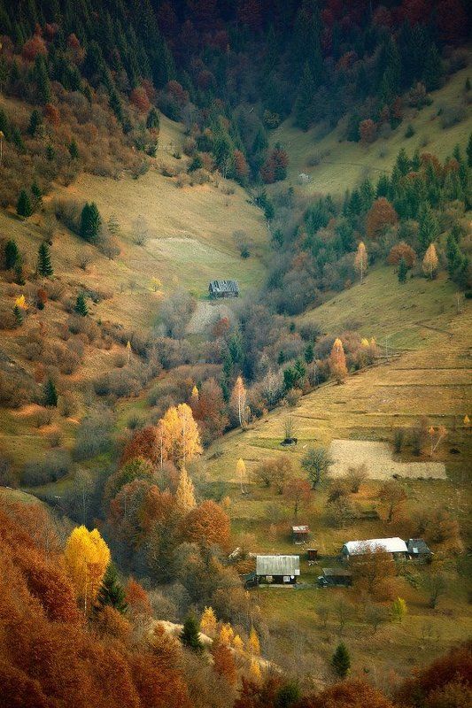 На Карпатских склонах фото превью