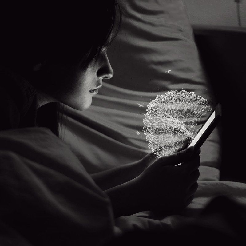 *** фото превью