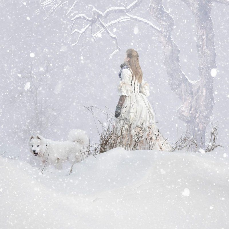 winter, tree, dog, woman, white, snow, journey, fantasy When a dog enjoy the flakes -IMPROVED VERSION - фото превью