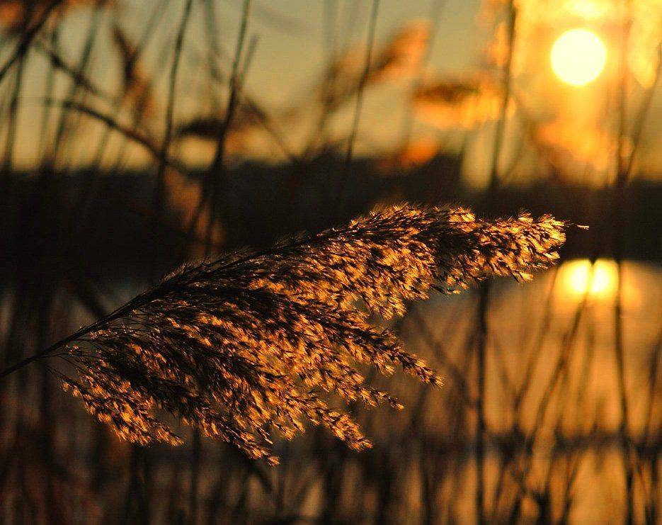 , Александр