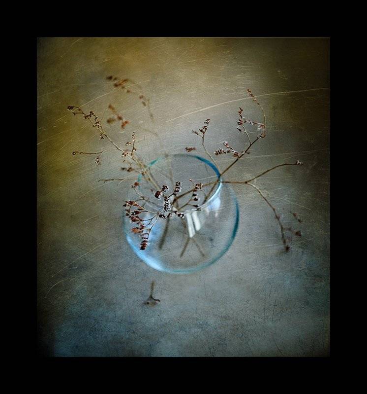 , Svoboda Andreeva