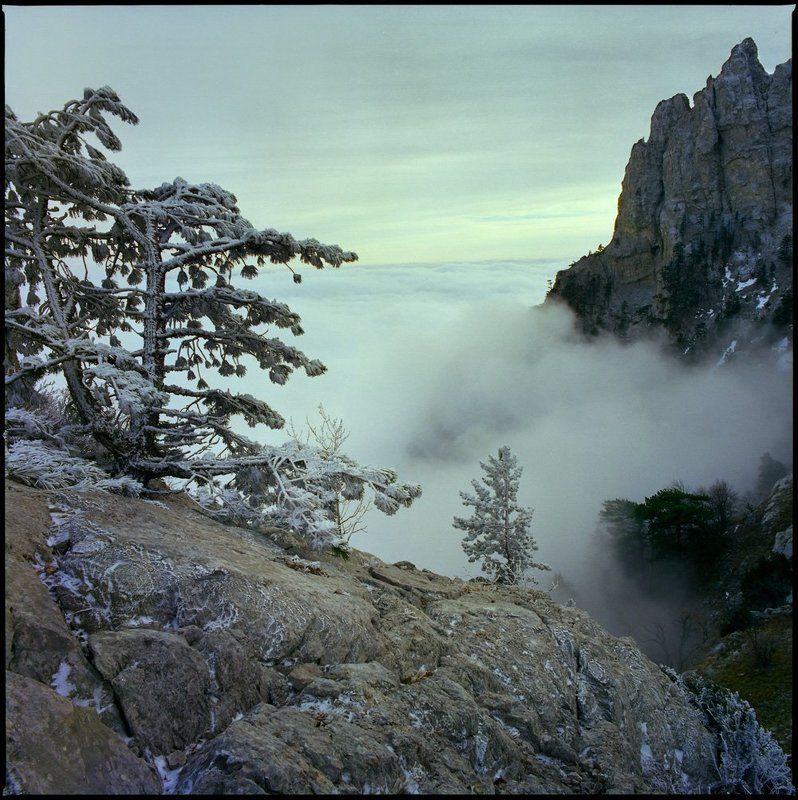 идти навстречу... фото превью