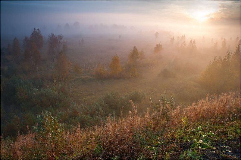Рассветная. фото превью