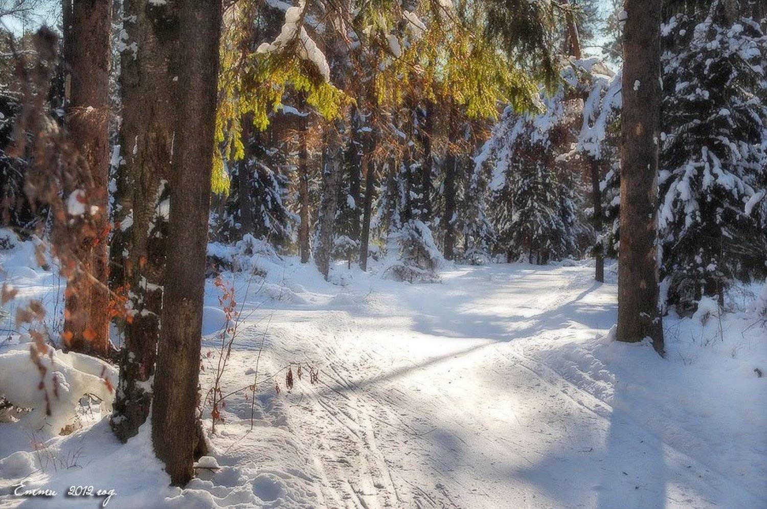 зима, природа, снег, зарисовка, етти