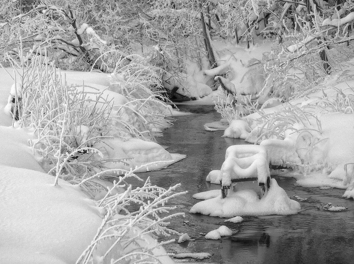 , Владимир Перепечаев