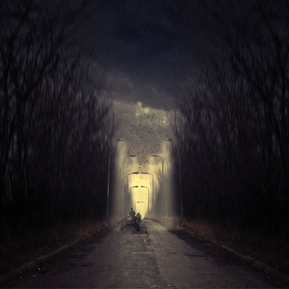 cart, horse, light, pole light, alone, forest, tree, rain, ligthing, Caras Ionut
