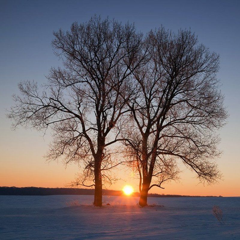 **** фото превью