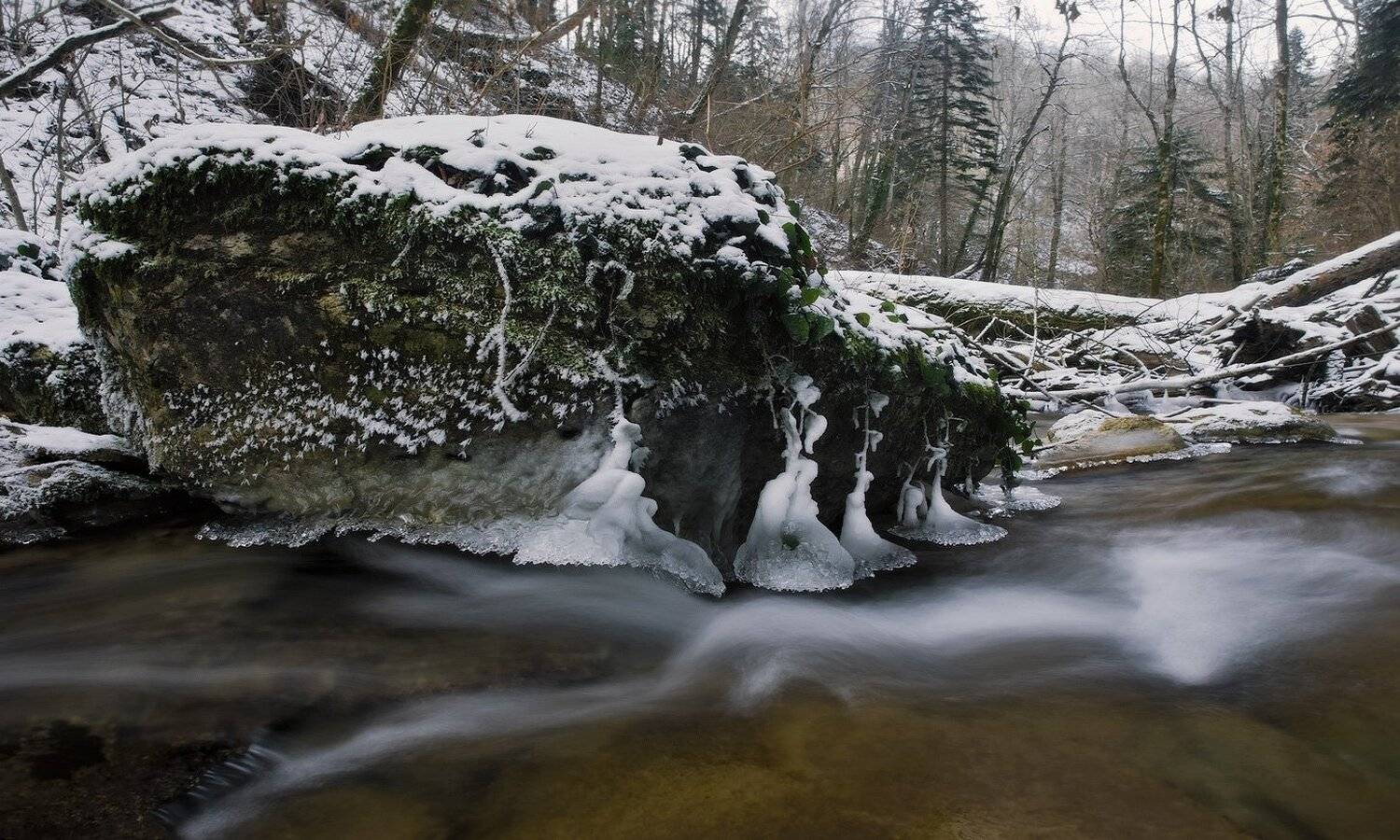 утро, река, зима, ФЁДОР