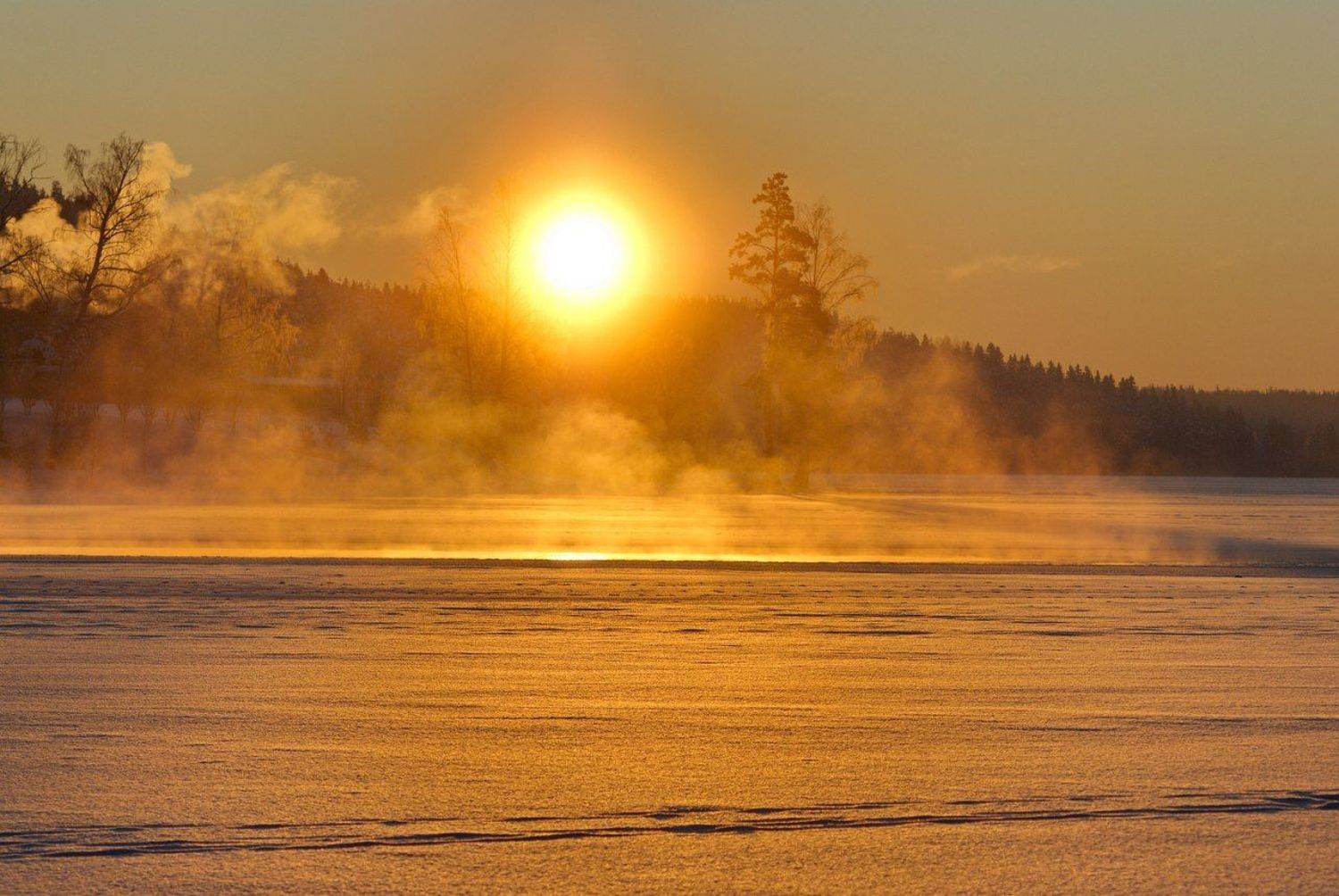 , Павел Жданов