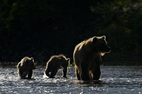 На вечернюю рыбалку